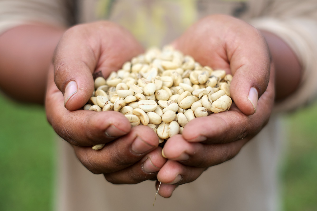 agricultural lifestyle photography thailand
