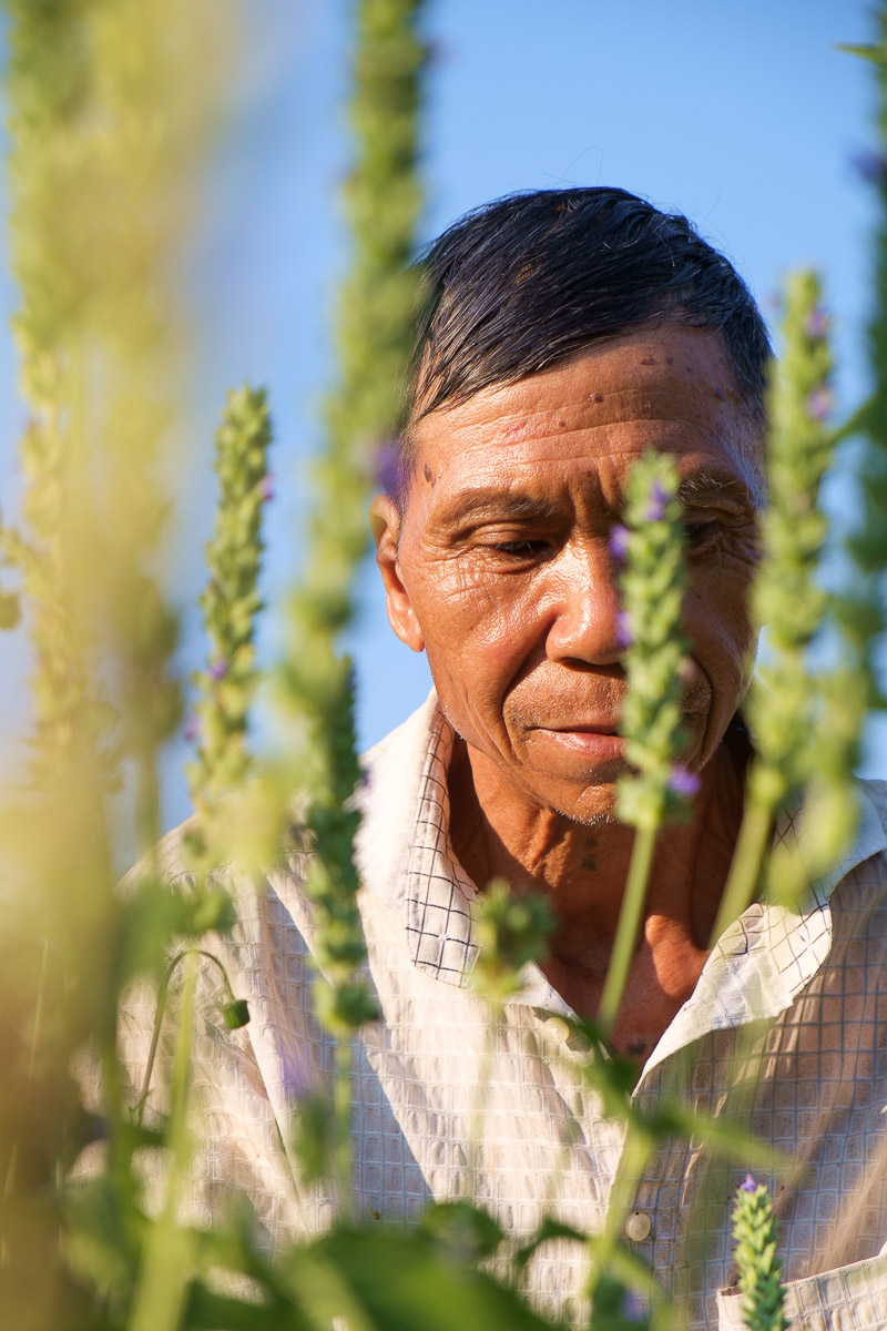 agricultural portrait lifestyle photography thailand