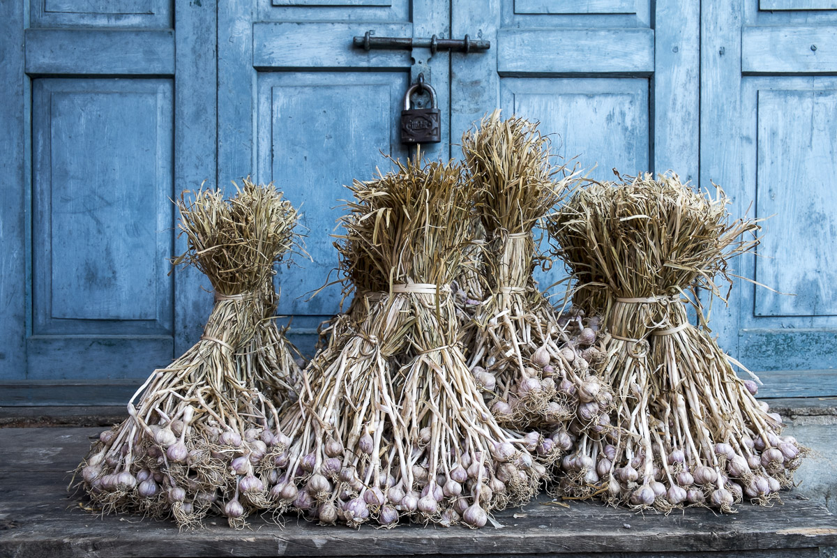 travel food photography Asia