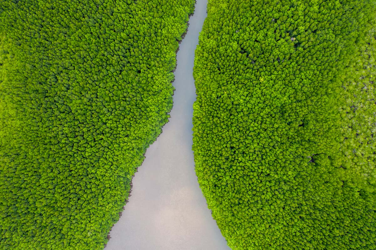 aerial photography thailand mangroves