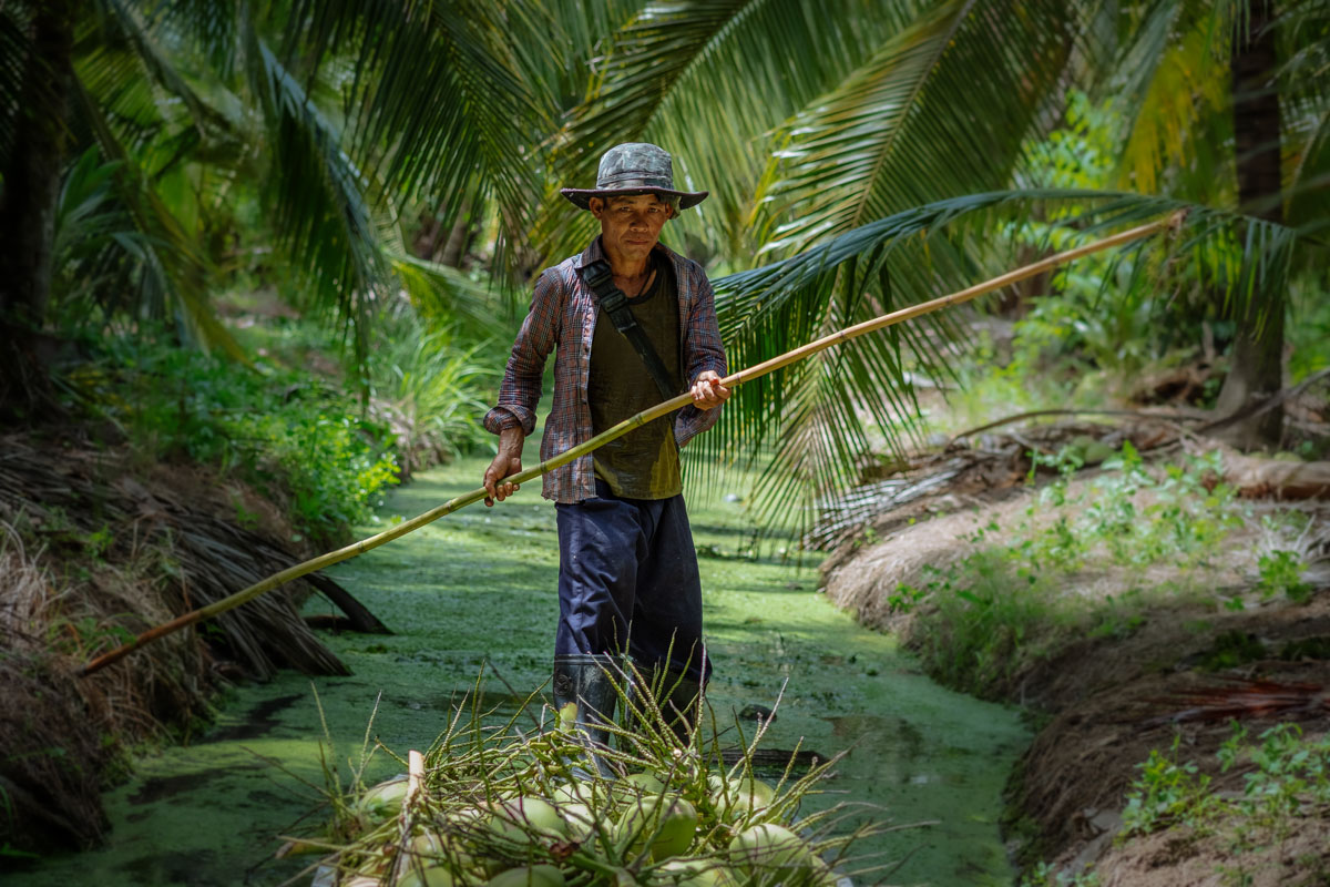 lifestyle photography coconut farm Thailand
