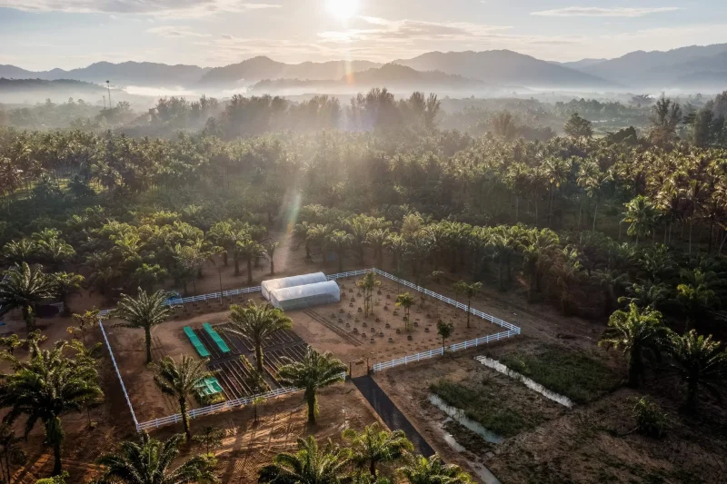 Aerial drone photography of JW Garden, JW Marriott Khao Lak