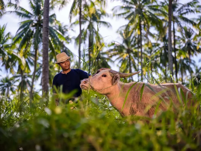Lifestyle photography at JW Garden, JW Marriott Khao Lak