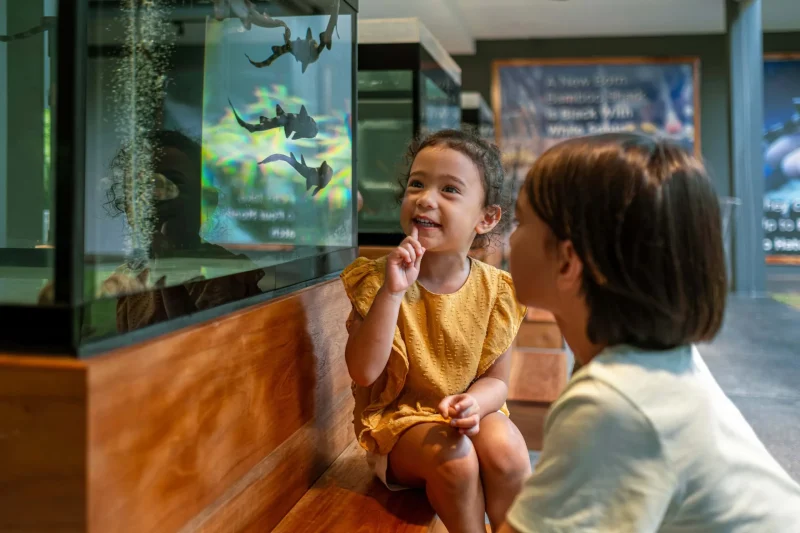 Shark aquarium, JW Marriott Khao Lak